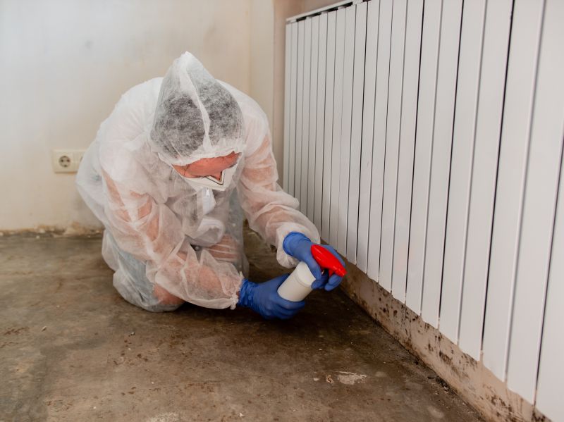 Air Duct Mold Removal in Frisco, TX