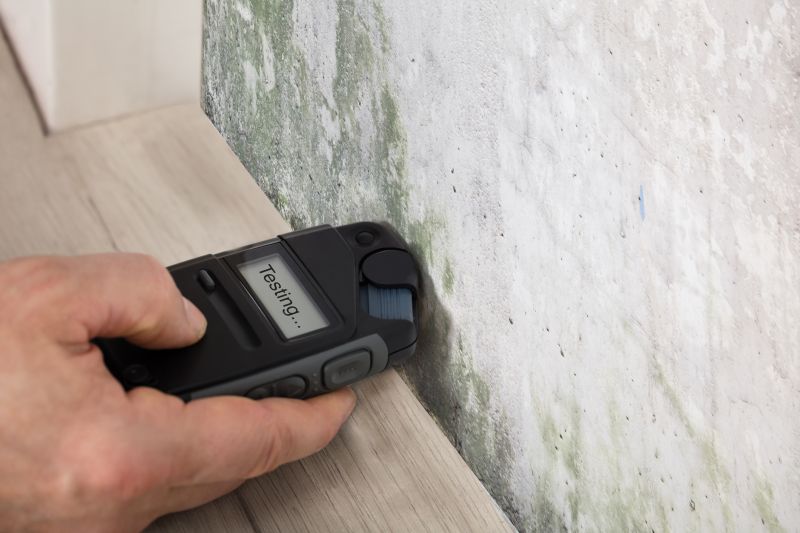 Apartment Mold Detection