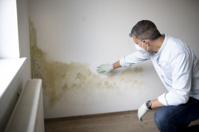Apartment Mold Detection