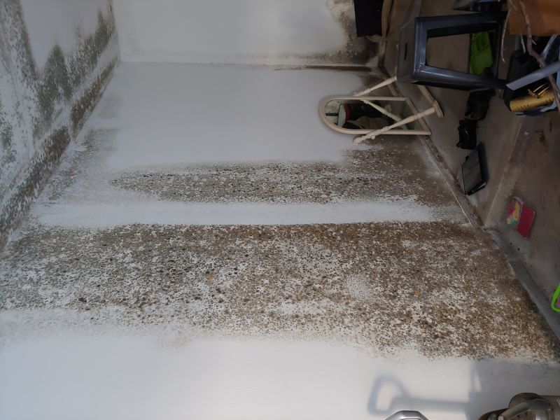 Apartment Mold Detection