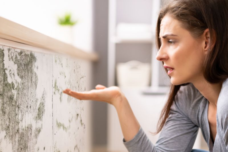 Apartment Mold Detection