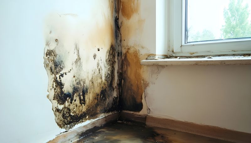 Mold Damage Visuals
