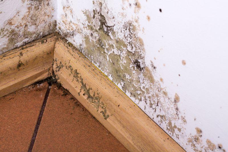 Mold Growth in Corners