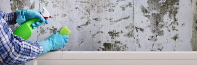 Post-Remediation Results