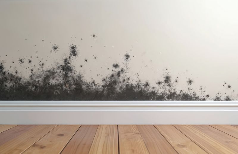 Basement Mold Remediation in Broward County, FL