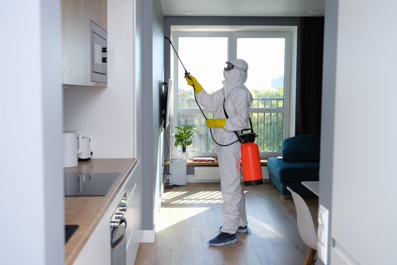 Basement Mold Removal in Frisco, TX