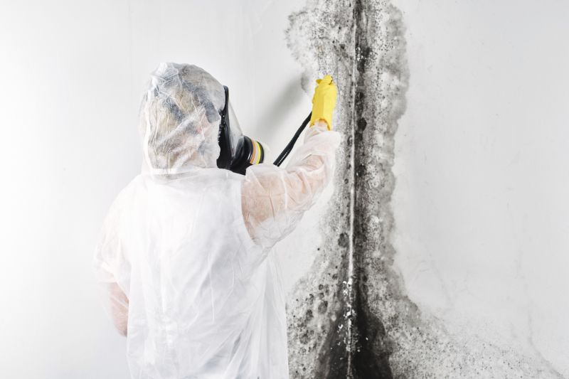 Crawlspace Mold Remediation in Dallas, TX