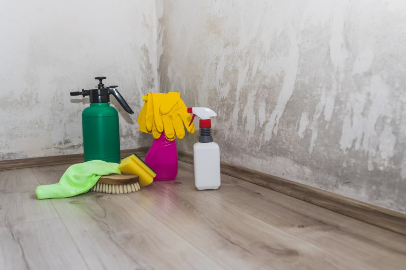 Garage Mold Remediation in Dallas, TX