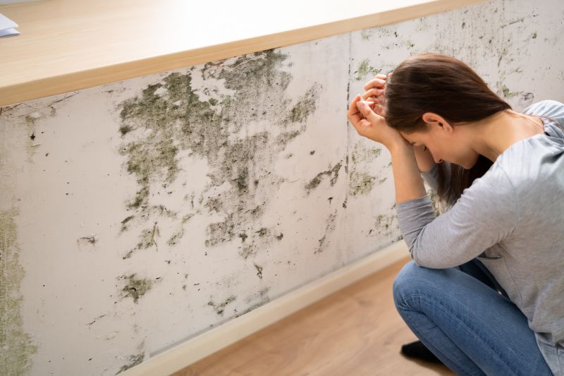 Mold Abatement in Delray Beach, FL