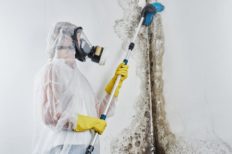 Mold Abatement Service in Fort Lauderdale, FL