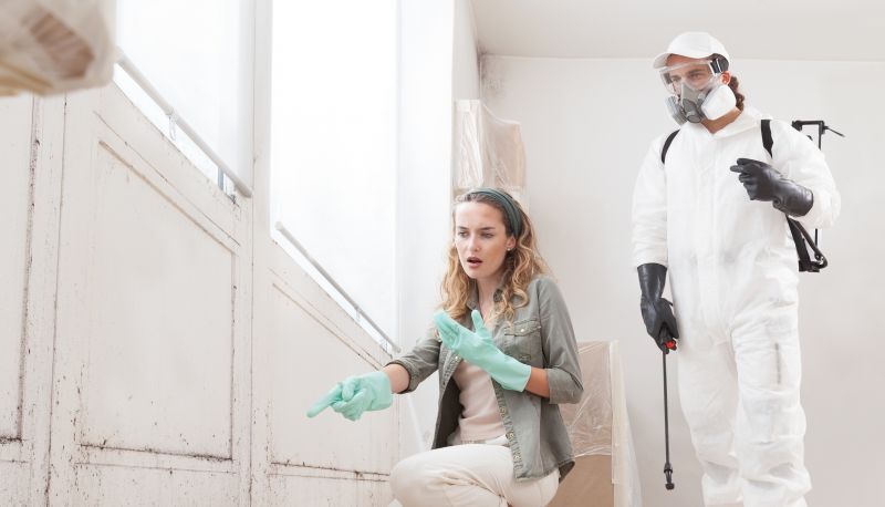 Mold Cleanup Service in Frisco, TX