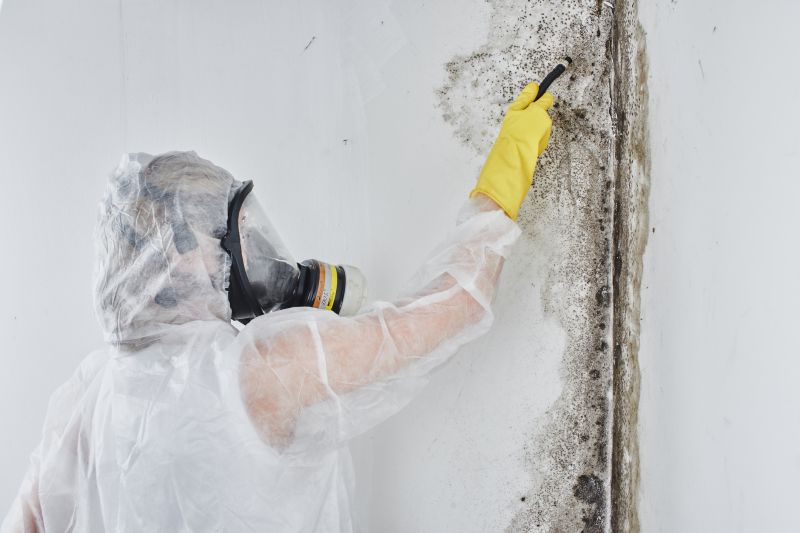 Mold Removal Team at Work