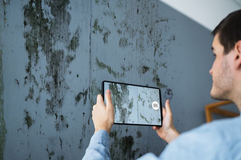 Products For Apartment Mold Detections in use