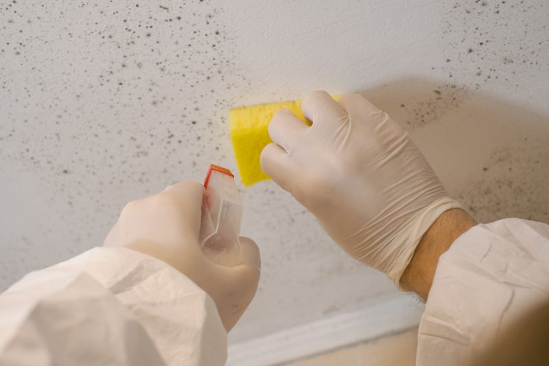 White Mold Mitigation in Frisco, TX