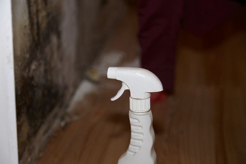 White Mold Mitigation in Bergen County, NJ
