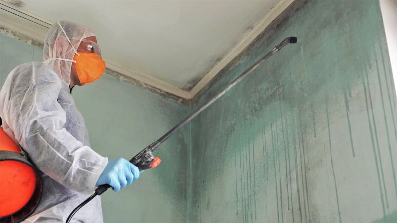 Attic Mold Remediation in Essex County, NJ
