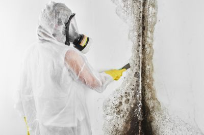 Basement Mold Removal in Essex County, NJ