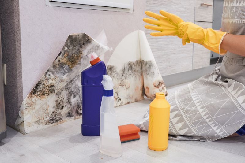 Black Mold Remediation in West Palm Beach, FL