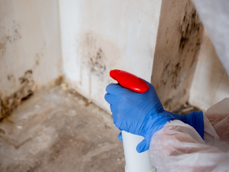 Garage Mold Remediation in Fort Worth, TX