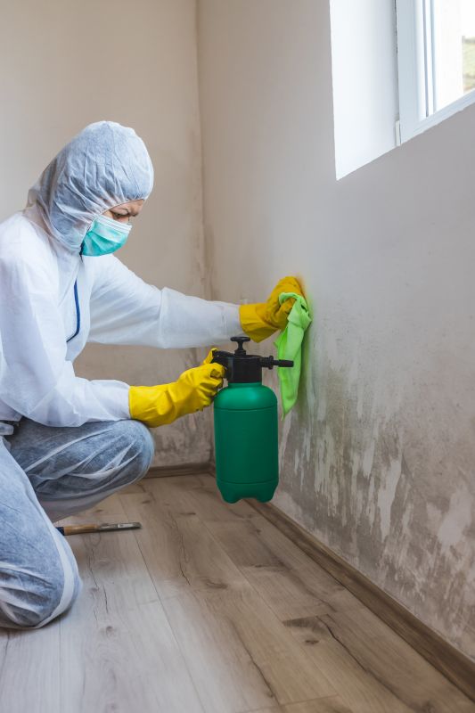Mold Restoration in Essex County, NJ