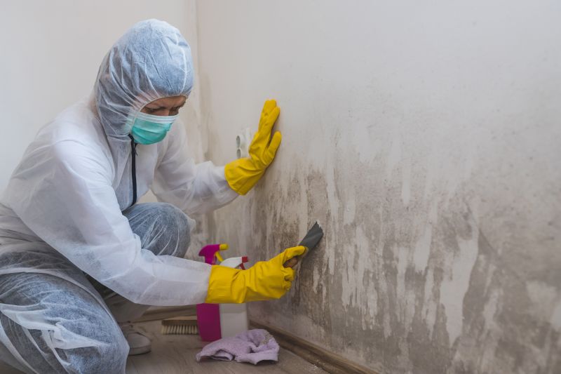 Mold Treatment Service in Fort Lauderdale, FL